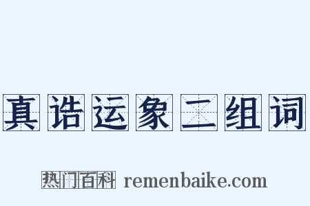 真诰运象二组词是什么意思的图片